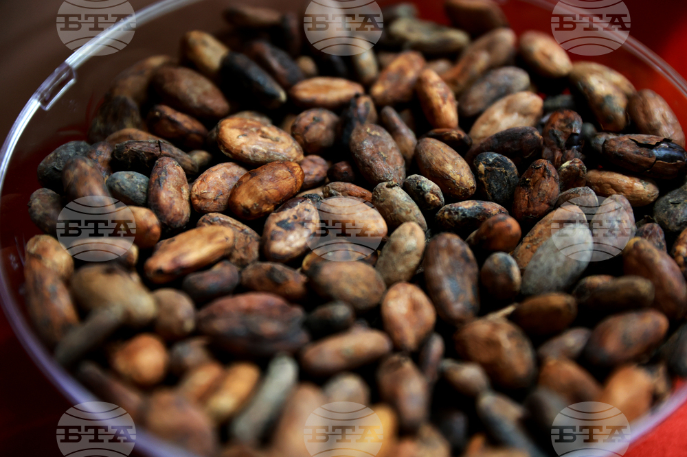 Търговията на ЕС със селскостопански и хранителни продукти остава стабилна въпреки нарастващите цени, сочи доклад