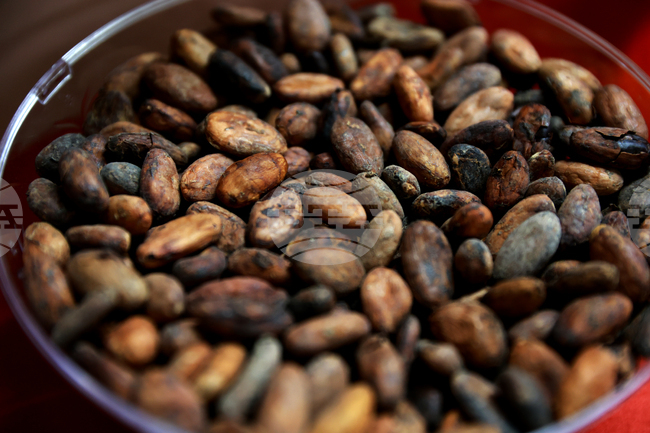 Търговията на ЕС със селскостопански и хранителни продукти остава стабилна въпреки нарастващите цени, сочи доклад