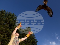 Кремиковци - „Зелени Балкани" - птици на свобода