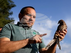 Кремиковци - „Зелени Балкани" - птици на свобода