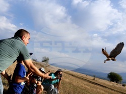 Кремиковци - „Зелени Балкани" - птици на свобода