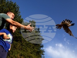 Кремиковци - „Зелени Балкани" - птици на свобода
