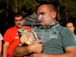Кремиковци - „Зелени Балкани" - птици на свобода