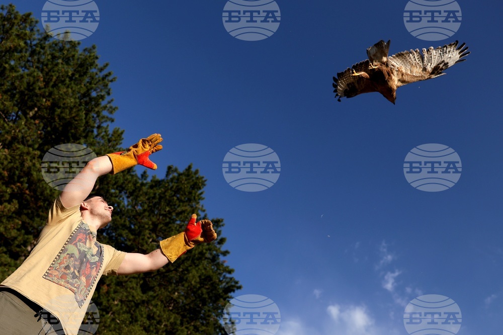 Кремиковци - „Зелени Балкани" - птици на свобода