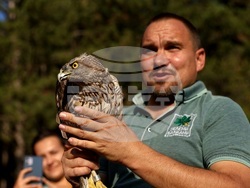 Кремиковци - „Зелени Балкани" - птици на свобода