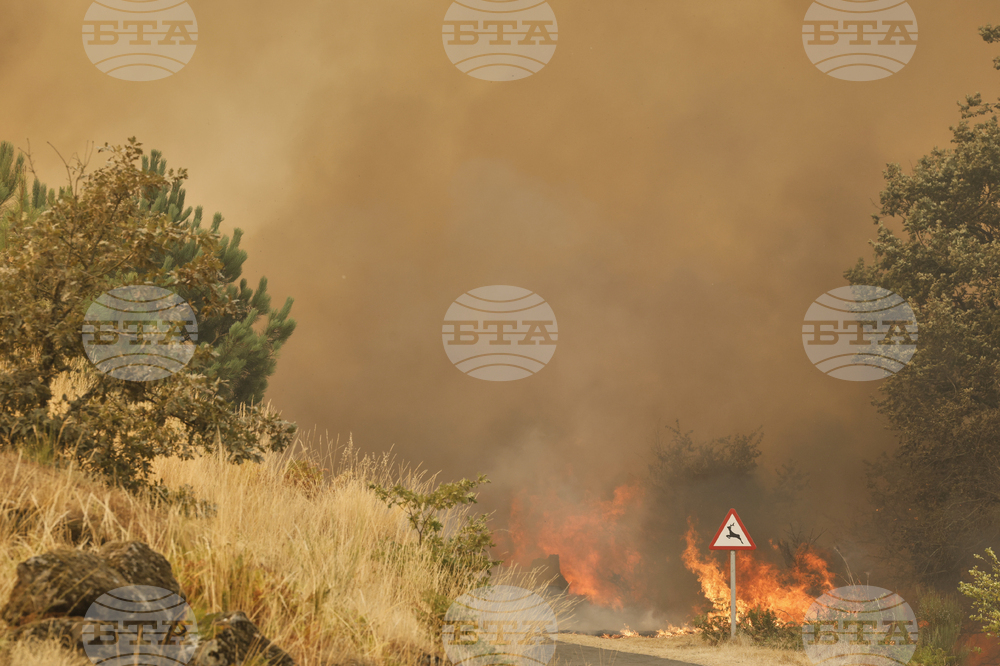 Spain Fires