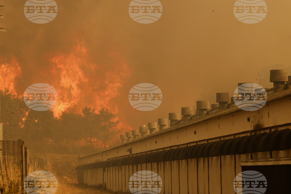 Spain Fires