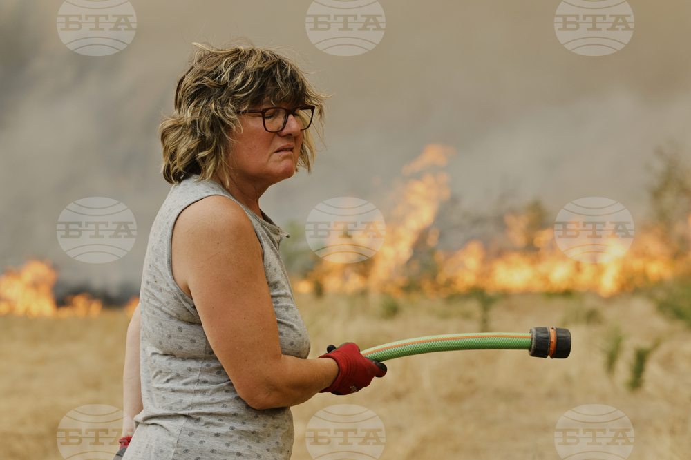 Spain Fires