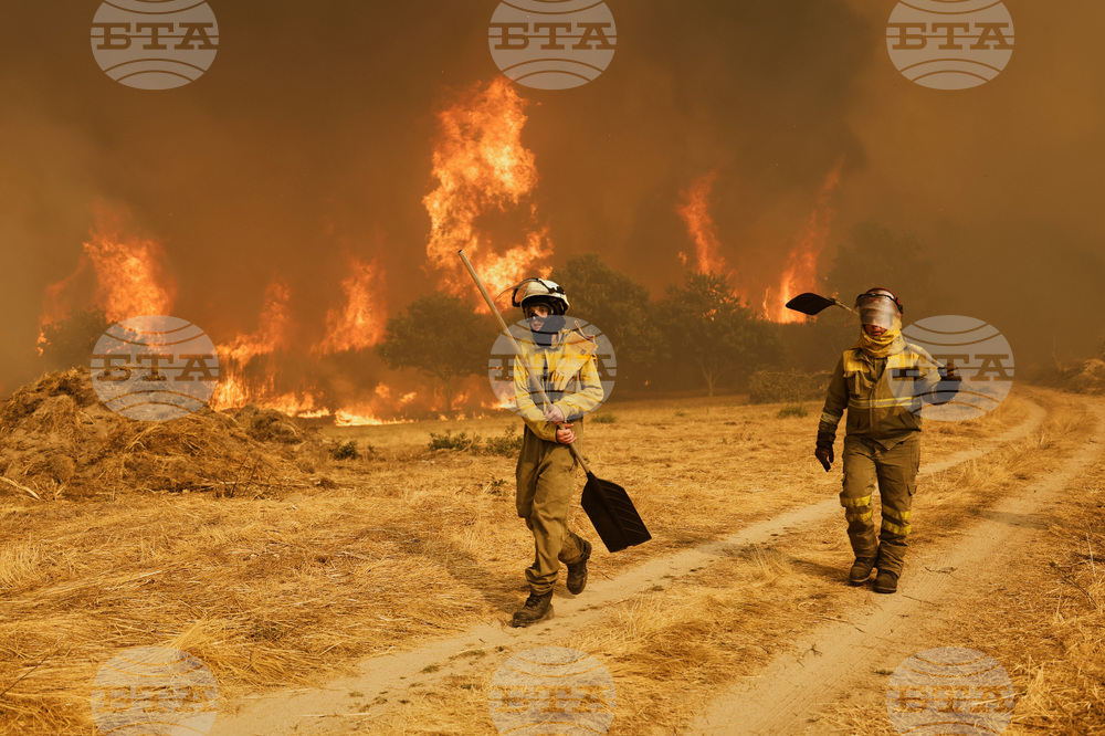 Spain Fires