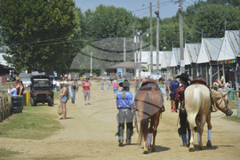 Michigan Youth County Fair