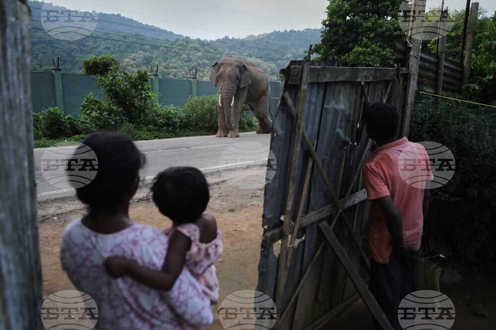 Pictures of the Week Global Photo Gallery