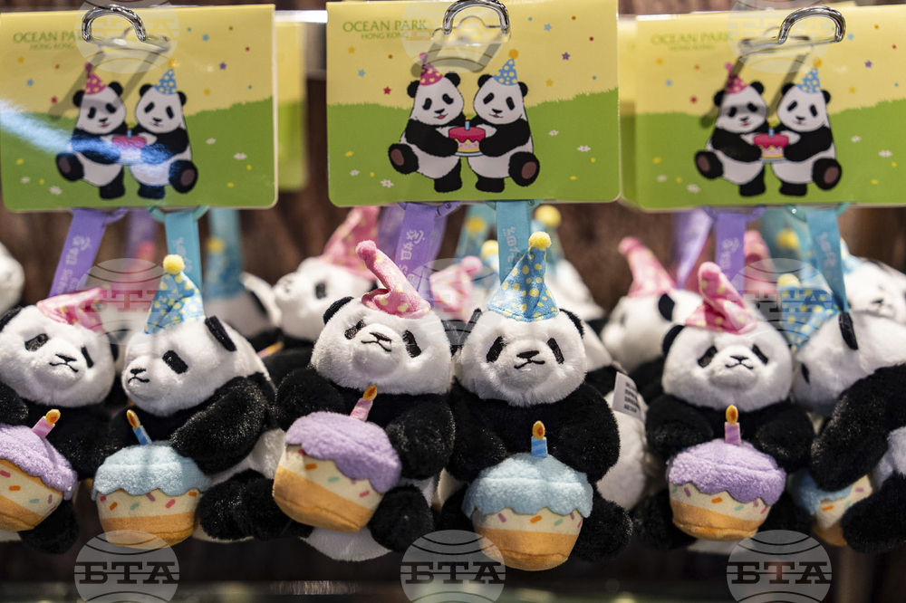 Hong Kong Panda Birthday