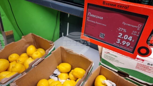 Всички големи търговски вериги са изписали цените в левове и в евро, част от малките търговци се възползват от гратисния период, показа проверка на БТА в страната 