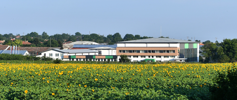 "Агротайм" ЕООД в Исперих търси агрономи, ветеринарни лекари, зооинженери, механици и водачи на земеделска техника