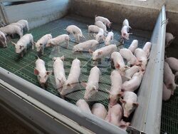 Исперих - Агротайм ЕООД - кадри