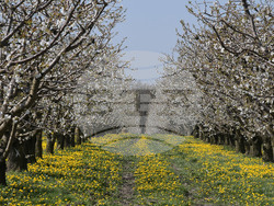 Исперих - Агротайм - кадри