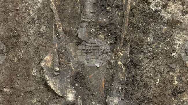 Откриха скелет при ремонта в Националната художествена академия