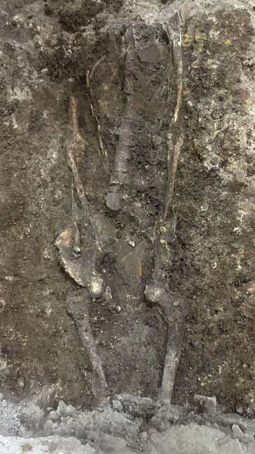 Skeleton Found in Late Antiquity Grade During Renovation of National Academy of Art