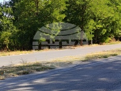 Снимка: Община Шумен