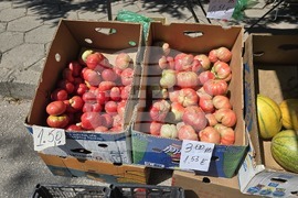 Стрелча - двойно обозначаване на цените - лев-евро