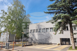 Радомир - „Ветпром" АД