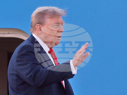 Trump Putin