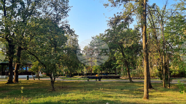 Аджерпрес: Общински съветник от Бузъу в Румъния предлага градът да превърне зелените площи в малки овощни градини 