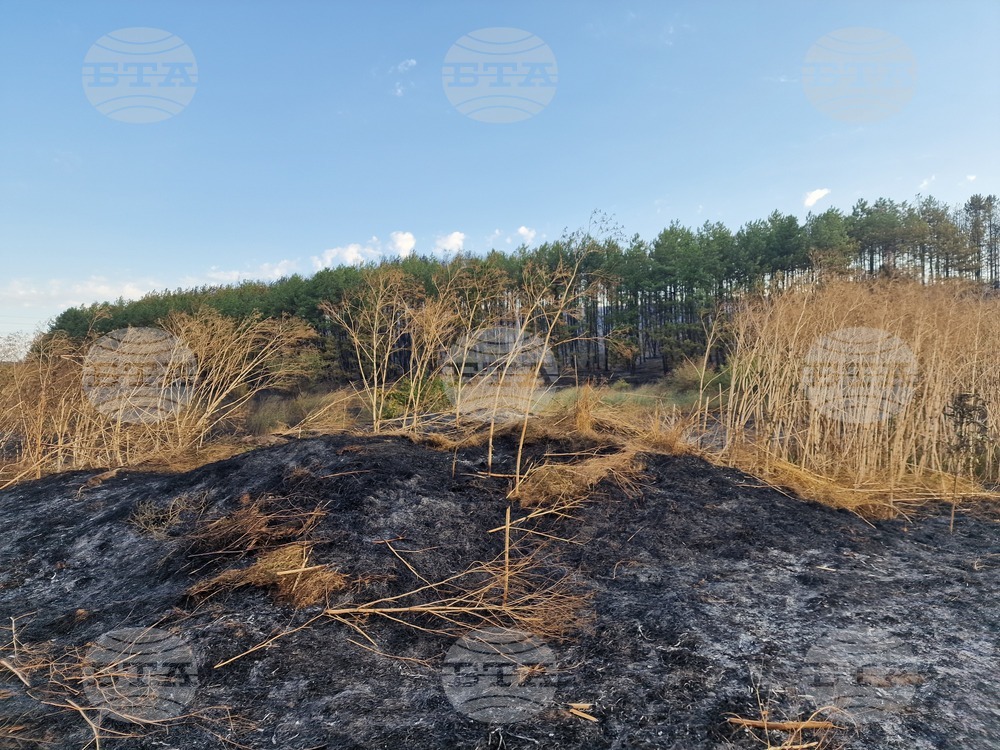 Обручище - пожар - частично бедствено положение