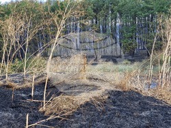 Обручище - пожар - частично бедствено положение