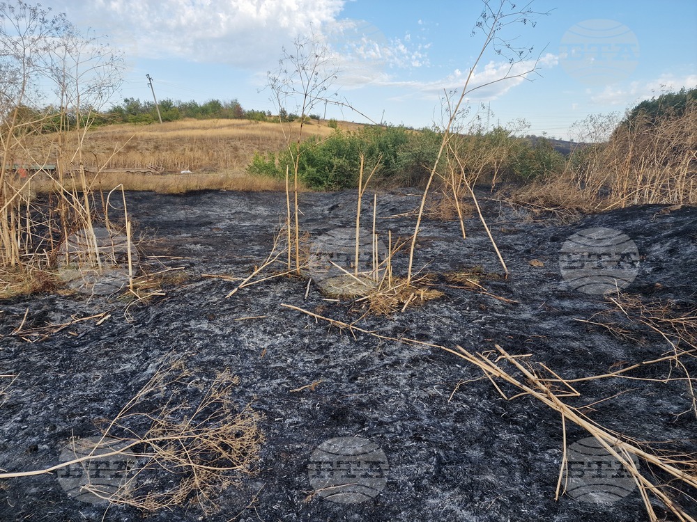 Обручище - пожар - частично бедствено положение