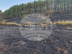 Обручище - пожар - частично бедствено положение