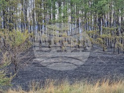 Обручище - пожар - частично бедствено положение