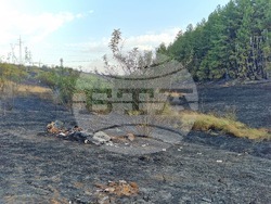 Обручище - пожар - частично бедствено положение