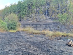 Обручище - пожар - частично бедствено положение