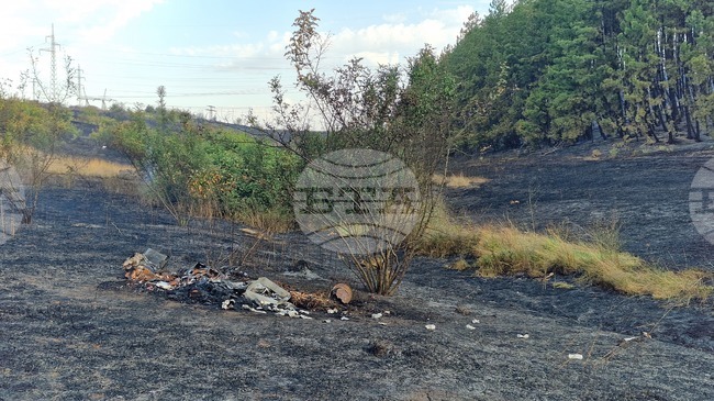 Пожарът край гълъбовското село Обручище е локализиран, частичното бедствено положение остава в рамките на 48 часа