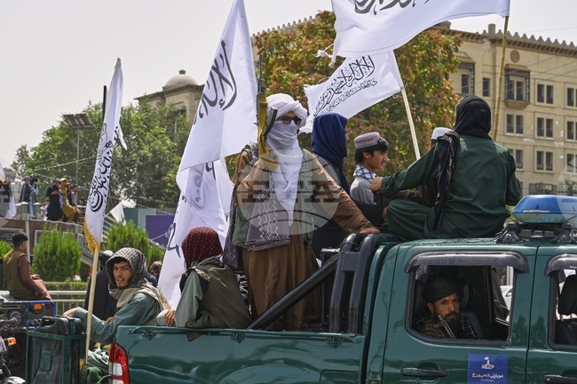 АПП: Трима от най-издирваните пакистански терористи бяха убити при съвместна операция на силите за сигурност 