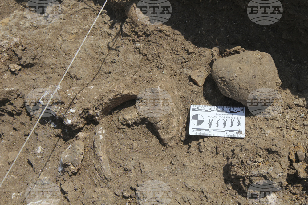 Откритието на каменни сечива в Кения подсказва, че най-древните хора са били изобретатели, твърди ново изследване