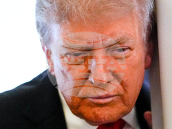 Trump Putin