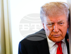 Trump Putin