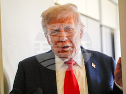 Trump Putin