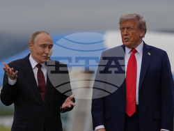 Trump Putin
