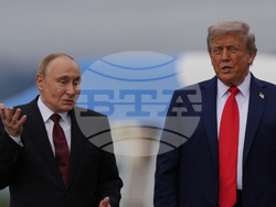 Trump Putin