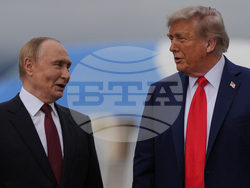 Trump Putin