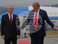Trump Putin
