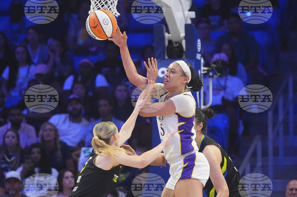Sparks Wings Basketball