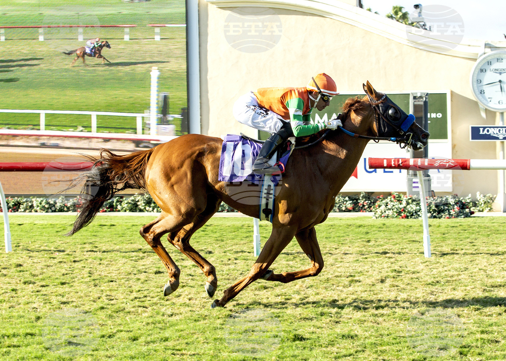 Del Mar Horse Racing
