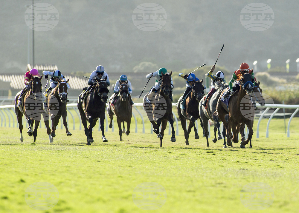 Del Mar Horse Racing