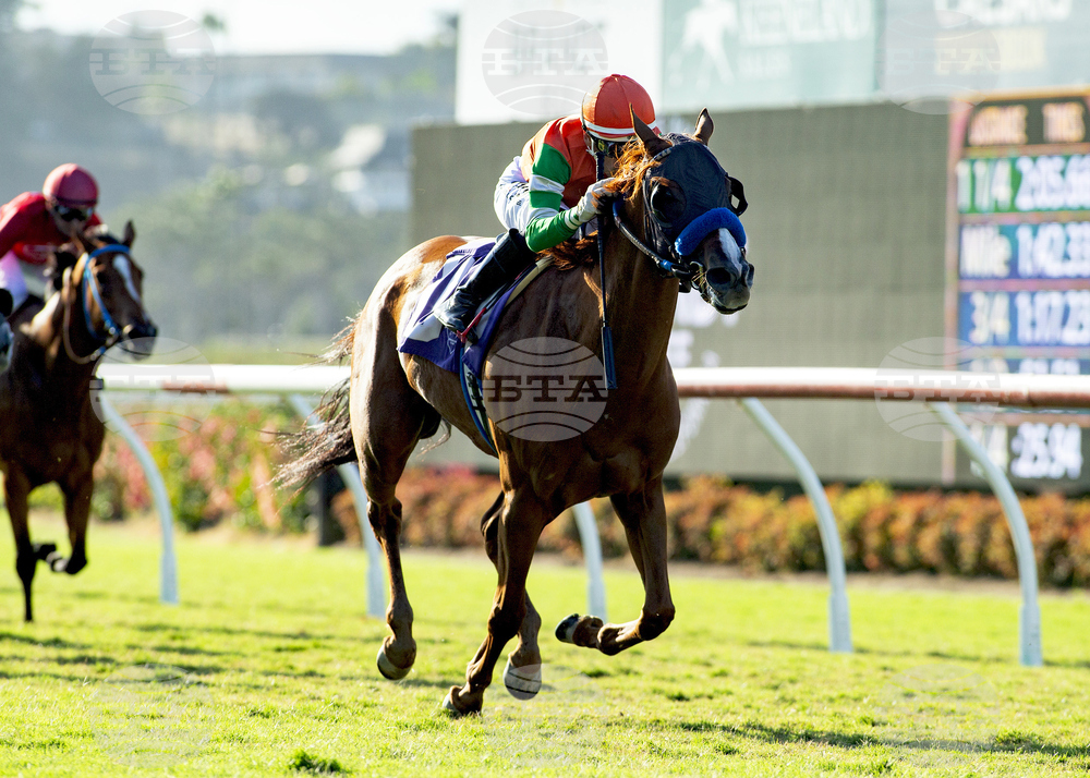 Del Mar Horse Racing