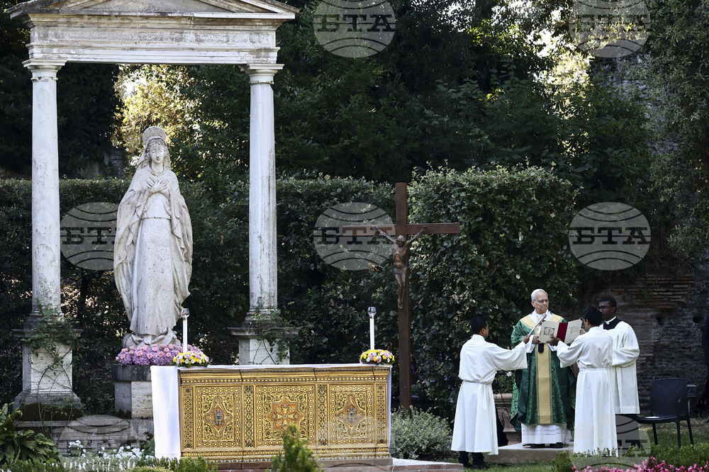 Pope Leo 100 Days