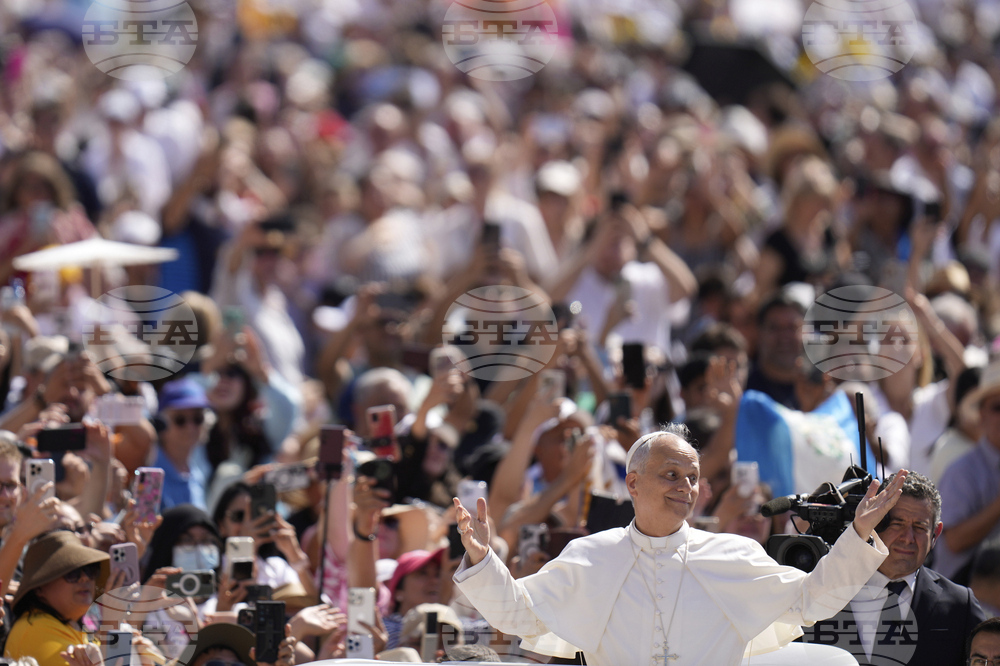 Pope Leo 100 Days